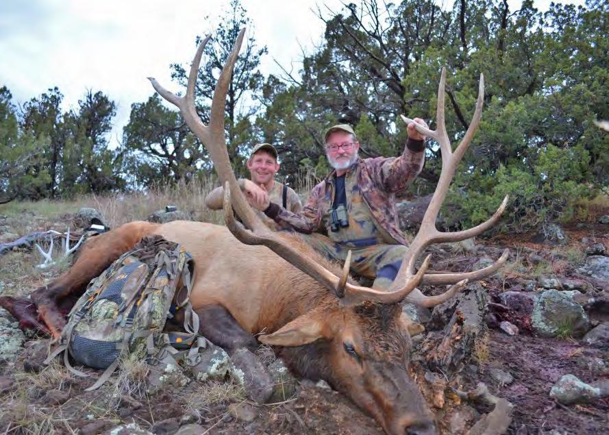 Over the years the early rifle elk hunts in Unit 12 have produced several 375 plus bulls, and this tremendous opportunity will more than likely continue