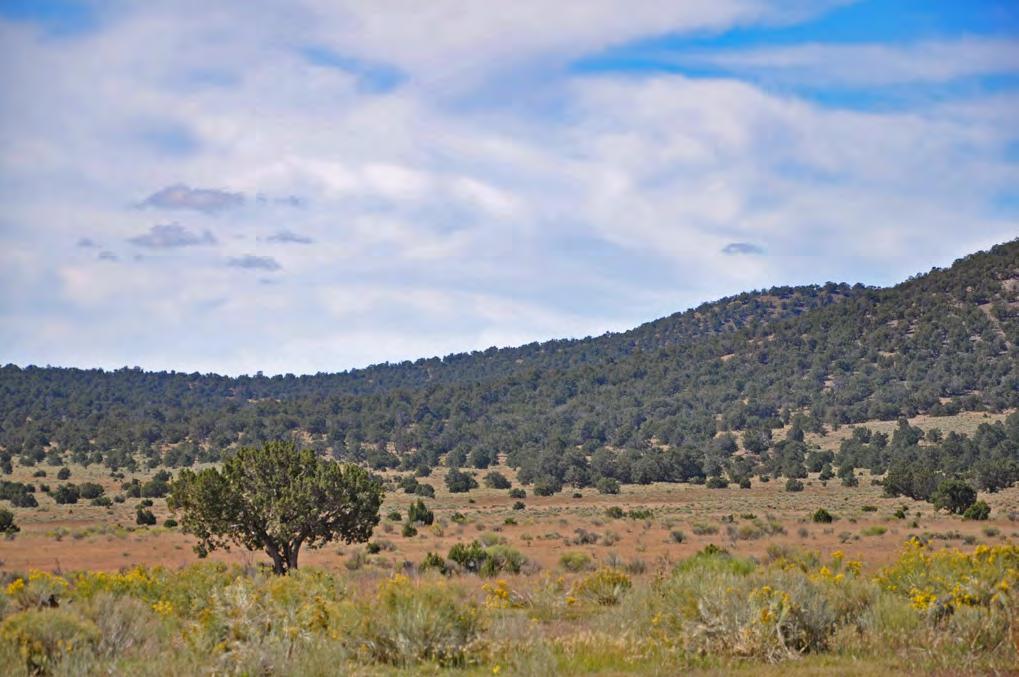 HUNTING, FISHING, SKIING, AND MORE The Trotter Ranch is 1 hour from Round Valley, AZ.