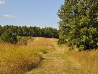 Listing Lot Lot 001, 007 Price $2,500,000 Lot Size 786 AC Price/AC $3,180.66 Lot Type Timberland Min. Divisible 95 AC Max.