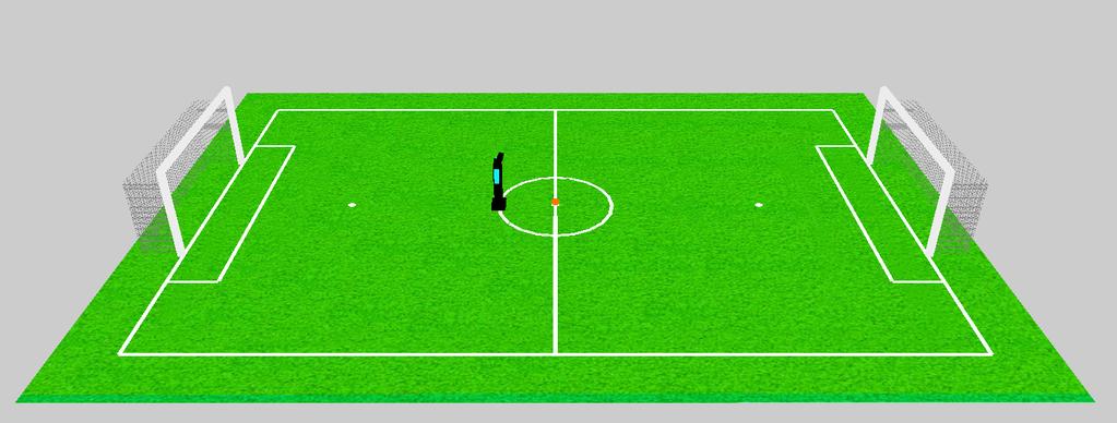 1 The Field of Play 4 Figure 3: Humanoid soccer fields with