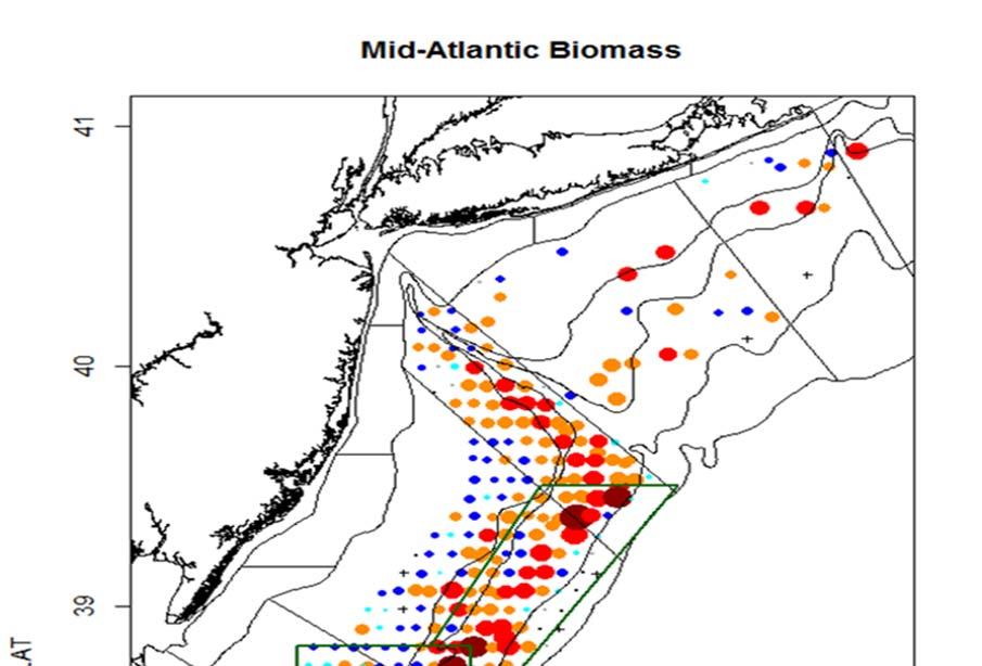 1.1.1.2 Mid-Atlantic In general, Mid-Atlantic biomass is declining.