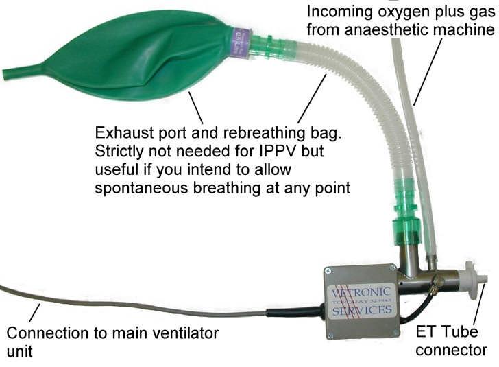 The following is a description of the steps to follow when using a pressurecycled ventilator, based on the Vetronic Services, SAV03 Small Animal Ventilator.