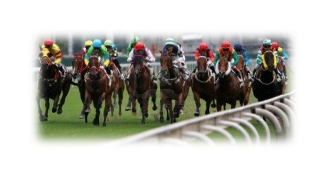 1) The Hong Kong Jockey Club One of the world s most successful horse racing and