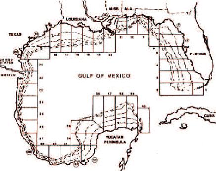 Figure 1. Map of the Gulf of Mexico region, showing NMFS survey grids (Figure from Porch and Cass-Calay 2001).