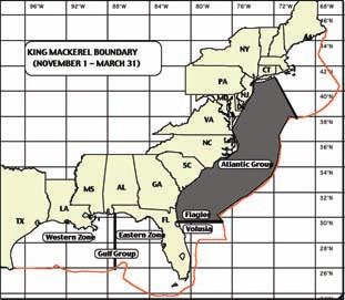 Commercial King & Spanish Mackerel Commercial Regulations King & Spanish Mackerel quota for king or Spanish mackerel.