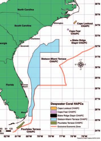 Steve Ross Deepwater Coral HAPCs Deepwater Coral Habitat Areas of Particular Concern (HAPCs) 2 5 1 The Council has designated five deepwater coral areas as Deepwater Coral HAPCs.