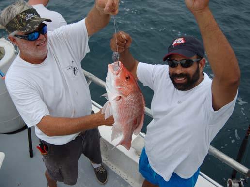 Public scoping comments were solicited on options for red snapper and recreational reporting through Snapper Grouper Amendment 43 and two Vision Blueprint Regulatory Amendments with options for