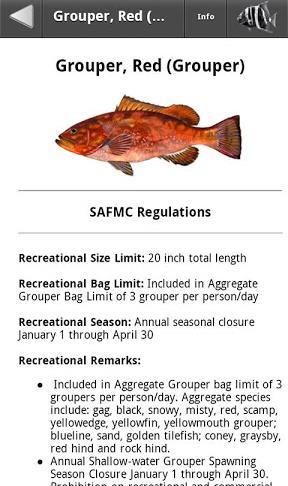 Fish identification information Federal recreational regulations