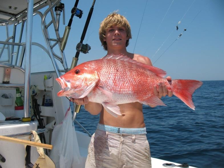 ACTIONS RECENTLY APPROVED BY THE SECRETARY Snapper Grouper Amendment 28 (red snapper) Implements a process to determine if a recreational and commercial fishing season for red snapper can occur each