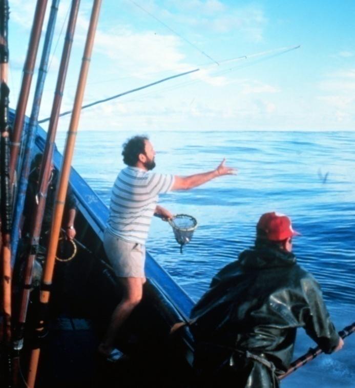 Welfare impact on bait fish Pole-and-line fishing - chumming with bait fish Fish are fed live to tuna.