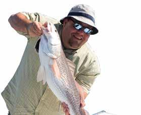 In all state waters outside the WMA, weakfish and sand seatrout are not specifically regulated.