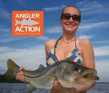 Angler Action data was used in the FWC 2011 Snook Stock Assessment and is slated for use in other species' stock assessments and research