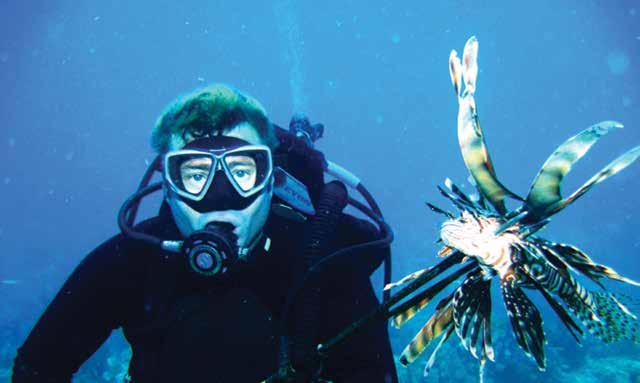 The Lionfish Invasion is in Full Swing What can be done to minimize the impacts?