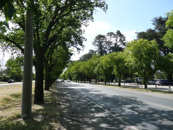 Salmon is also remembered on the Ballarat Avenue of Honour (1917-1919) where almost 4,000 trees were planted to represent the number of men and women from the Ballarat district who served in World