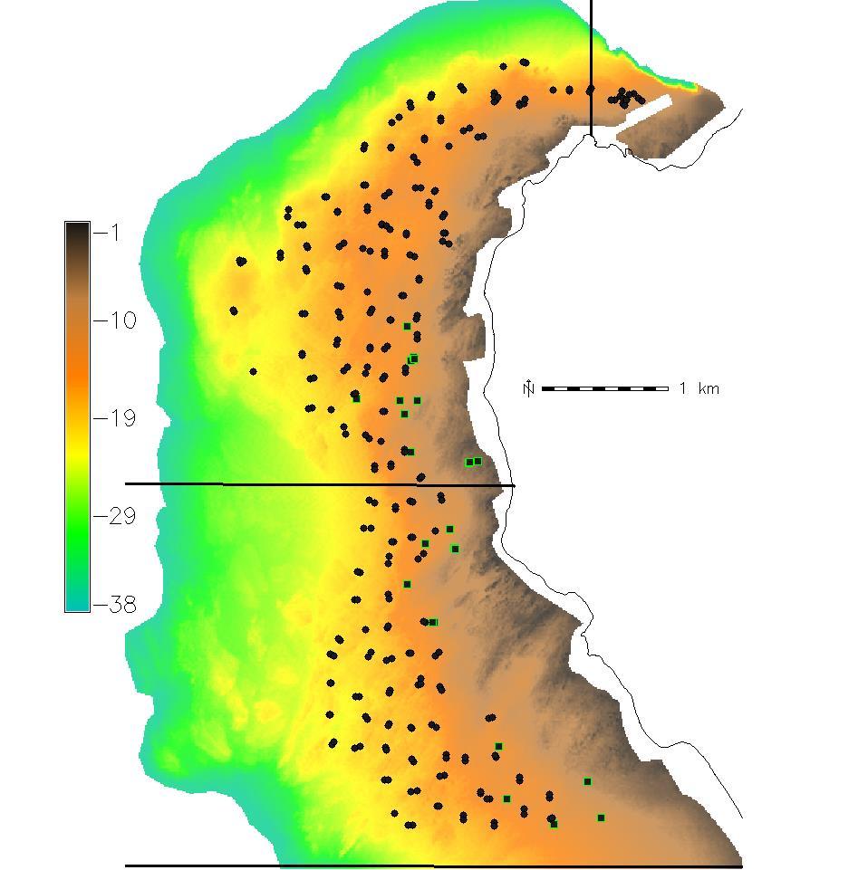 Habitat mapping. The shelf supporting the La Jolla kelp forest (Figure 23) is composed of two large ridges oriented cross-shore, bisected by a drainage valley in the middle portion of the forest.