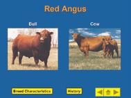 The new images are excellent and slides include breed characteristics, breed history, average production data, and latest imported breeds.