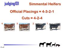 The CD-ROM also includes a terminology guide for presenting reasons, an EPD example, data for a heifer class, and reasons for five classes of beef animals.