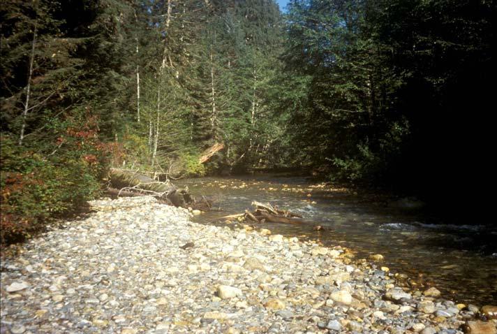 To add complexity to this tenet, most stream restoration projects are implemented without much control over the