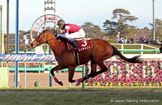 With four graded titles under his belt and at eight years of age, Decipher makes his second Japan Cup challenge his first was in 2014 with hopes of notching his first G1 win.