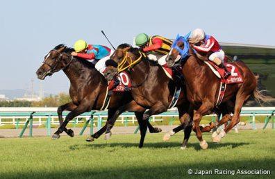 The 2014 Japanese Derby winner One and Only will take on his fourth consecutive Japan Cup challenge he marked two sevenths then an eighth, finishing closest to the winner by only 0.
