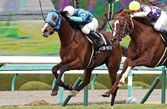 Four-year-old Rainbow Line is coming off an impressive third-place finish in the Tenno Sho (Autumn) where the 13th choice entered the stretch close to the favorites and ran strongly to finish a neck