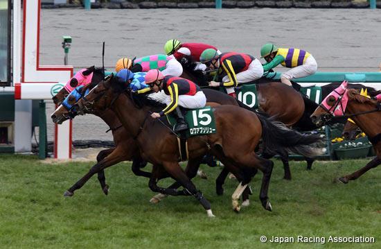 He kicked off this season in the Nikkei Sho as second favorite where he traveled wide and met traffic coming into the stretch but managed to find room to accelerate to fourth.