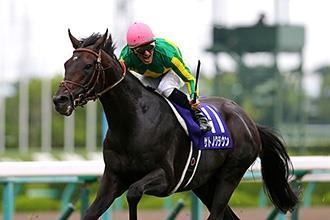 Satono Crown, winner of last year s Hong Kong Vase, registered his first JRA-G1 title in the Takarazuka Kinen in June this year, where he broke from the outermost draw and exerted the fastest late