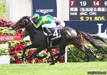 Winning both his two starts including the G3 Tokyo Sports Hai Nisai Stakes as a two-year-old, the son of Marju kicked off his three-year-old with another graded victory in the Yayoi Sho.