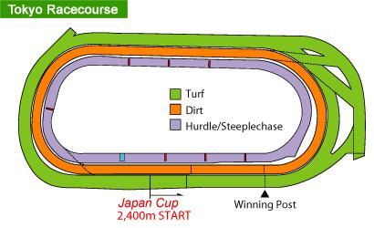 Course Description: Circumference 2,083.1m Width 31~41m Homestretch (final turn to finish) 525m Course Record Time 2:22.