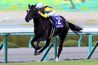 Soul Stirring s victory in the Hanshin Juvenile Fillies last year gave her legendary sire, Frankel his first post-retirement G1 victory.