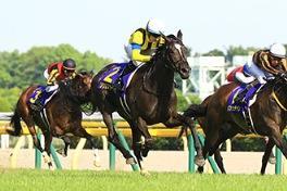 She then faced older males in her fall campaign, beginning with the Mainichi Okan in which she raced in front and finished eighth.