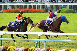 to finish fourth in the Sapporo Kinen in August where the dark bay met traffic at the top of the straight but stretched well thereafter.