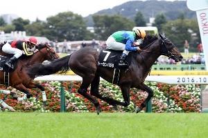 Tosen Basil is coming off a runner-up effort in the Kyoto Daishoten, in which he was rated further up than usual, inherited the lead 200 meters out and managed to hold off the strong challenge by