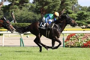 He finished a respectable third in his five-year-old kick-off start, the Hanshin Daishoten, exerting his usual late drive with the second fastest time over the last three furlongs.