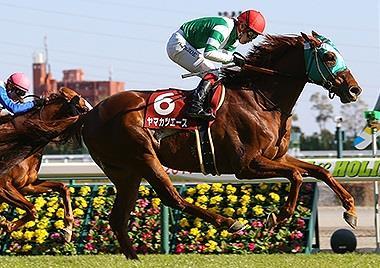 Five-year-old Yamakatsu Ace captured his fifth grade-race victory in this year s Kinko Sho, his first start of the season, where he pulled away strongly from the rallying group less than 100 meters