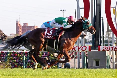 He marked a good third with the second fastest late charge in the G1 Osaka Hai, finishing 1-1/4 lengths from Kitasan Black, and scored another third in the Sapporo Kinen following a four-month break.