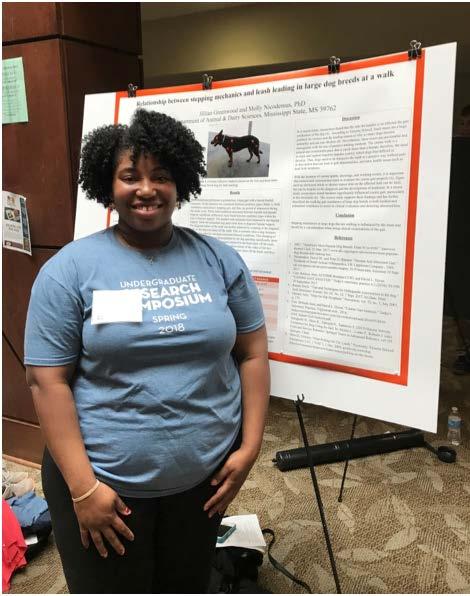 Undergraduate Companion Animal Research As the companion animal course offerings expands, the opportunities for undergraduates to participate in research focused on companion animals also expands.
