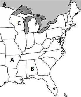 Lacey Act Examples Consider three producers. Producer A s business is located in Arkansas, B s is in Alabama and C s is in Wisconsin, as shown on the map.