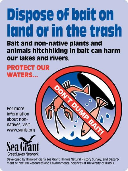 Why Baitfish? Bait bucket releases by anglers. Concern that non-native native species could be mixed in with baitfish. Concern baitfish might spread new diseases or parasites.
