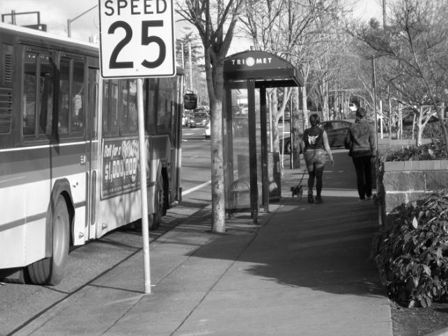 Hillsdale pedestrian and transit needs