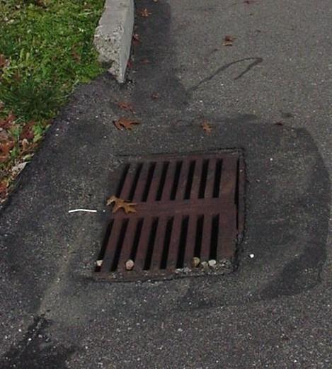 the grate.