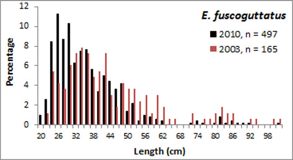 Species Sample Size, n Length range surveyed (cm) Percent immature A. rogaa* 1254 16-45 74.32 A. leucogrammicus 1552 17-49 51.48 C. argus* 2443 15-48 79.70 C. miniata 1408 13-43 8.52 E.