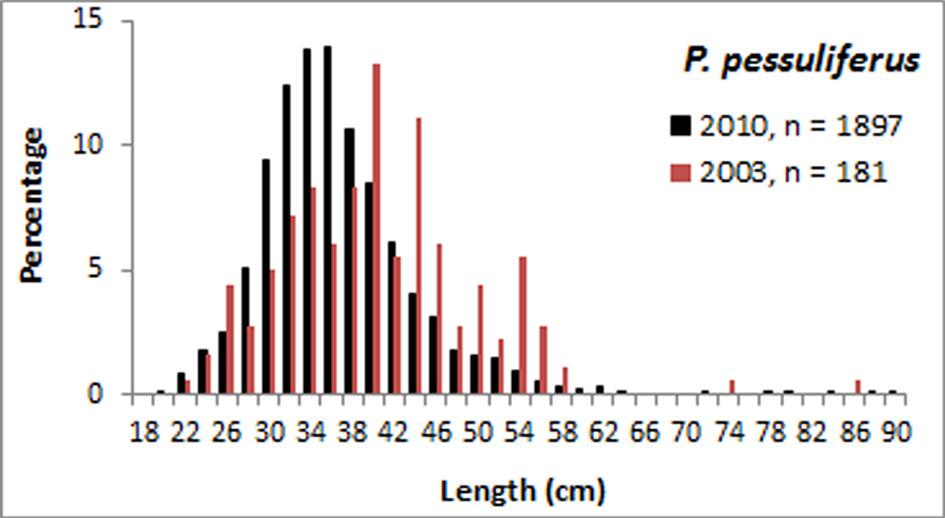 75 Table 2: Immature percentage represented in the catch of commercially important grouper species Size composition graphs for the 10 most commonly exploited species show that the size classes of