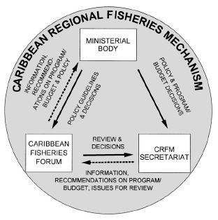 Fisherfolk network aiming to get a protocol on SSF