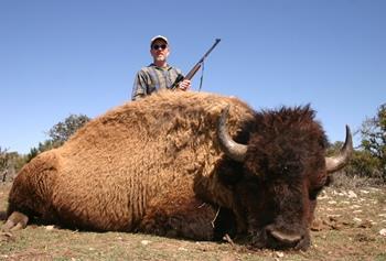 Hunting Buffalo - The army was expected to keep the peace and