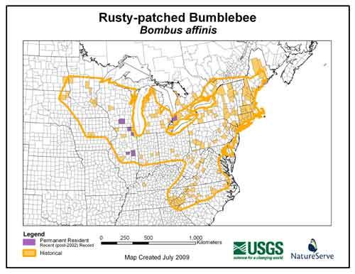 Rusty Patched Bumble Bee Alleged threats to survival: Pests and disease Microparasites, macroparasites, pathogen spillover Insecticides Deforestation/increased development