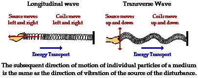 A. Waves Two Types: