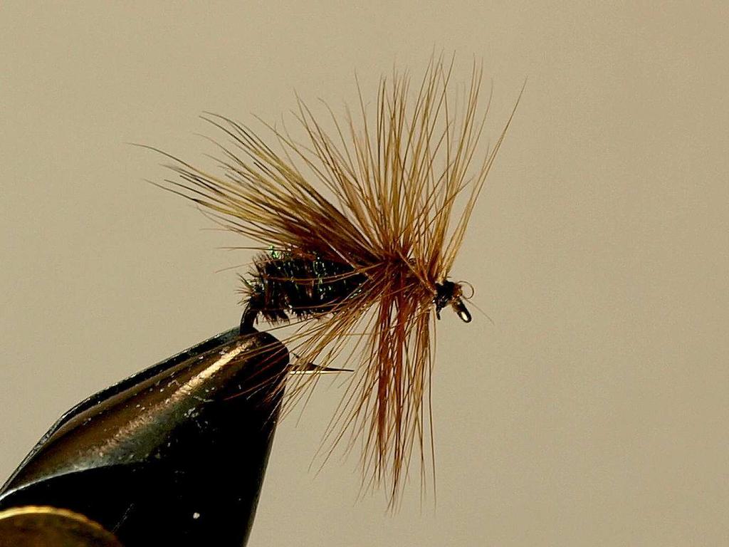 Brown Stone Hook: Mustad #9672 (2x Strong) Sz: 10-2 Thread: Black, 3/0 Tail: White Calftail, tied long Wing: White Calftail, tied upright and Body: White Chenille Rib: White Hackle Fibers, two