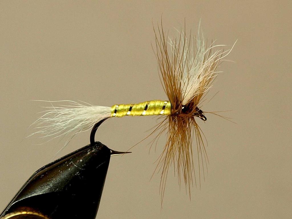 It could also be fished during the Big Golden Stone hatch. This fly was developed in the early 1960 s.