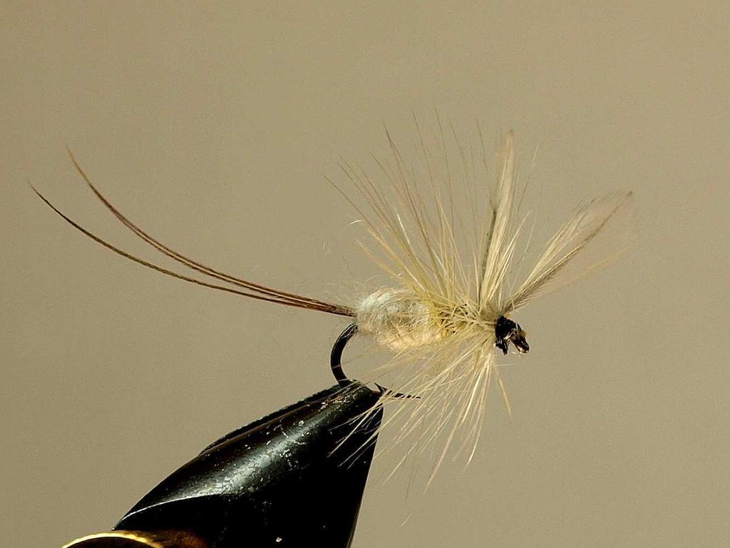 Tan Fury Hook: Mustad #94840 Sz: 10-14 Tail: 2 Pheasant Tail Fibers, tied long Wing: Blue Dun, tied upright and Body: Tan Angora (rabbit), tied plump and spiky looking.